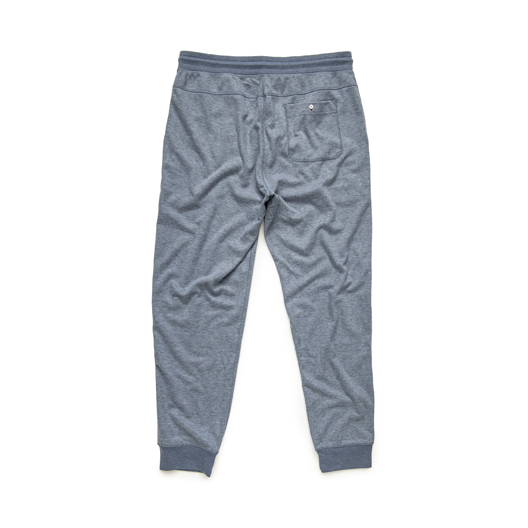 Brushed Rayon/Spandex Jogger in Blue